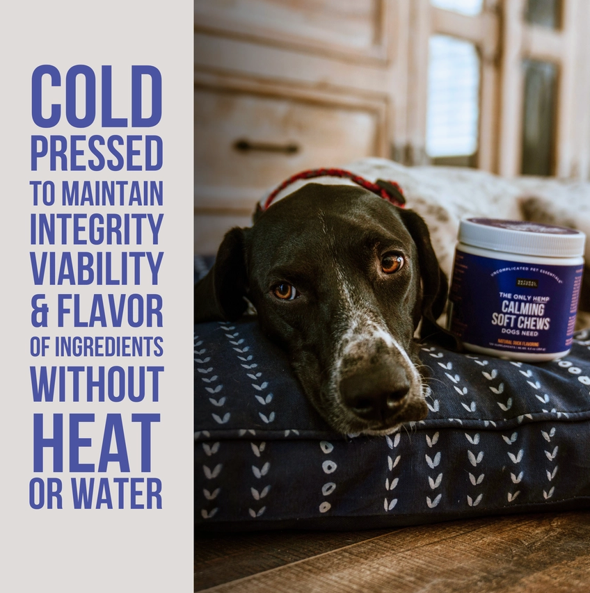 Hemp Calming Chews for Dogs – Relaxation & Stress Support